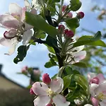 Tiny House Mit Garten In See-naehe Lägenhet Tauche