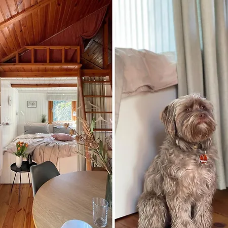 Tiny House Mit Garten In See-naehe Tauche