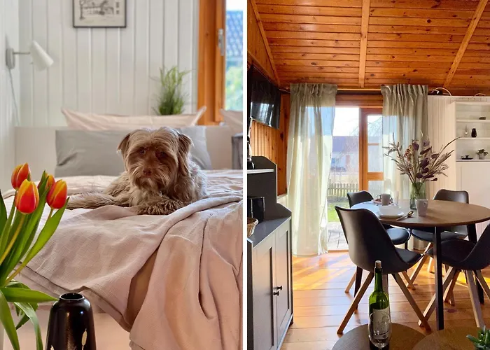 Apartment Tiny House Mit Garten In See-naehe Tauche